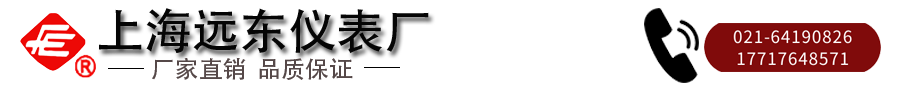 上海遠(yuǎn)東儀表廠(chǎng).png